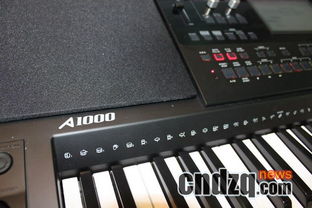 美德理A10 普及型电子琴市场的“猛兽”即将登场