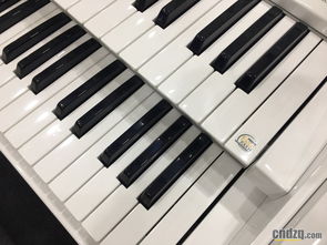 双排键新风尚 雅马哈与吟飞携新品闪耀2017上海乐展，共筑学习与交流新平台